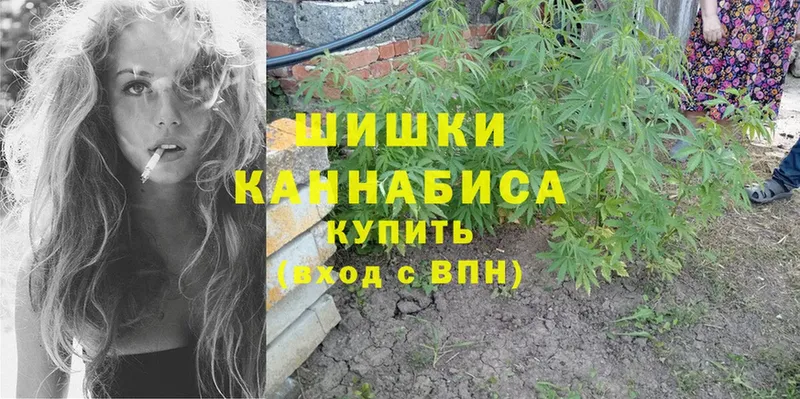 Бошки марихуана Ganja  Грозный 